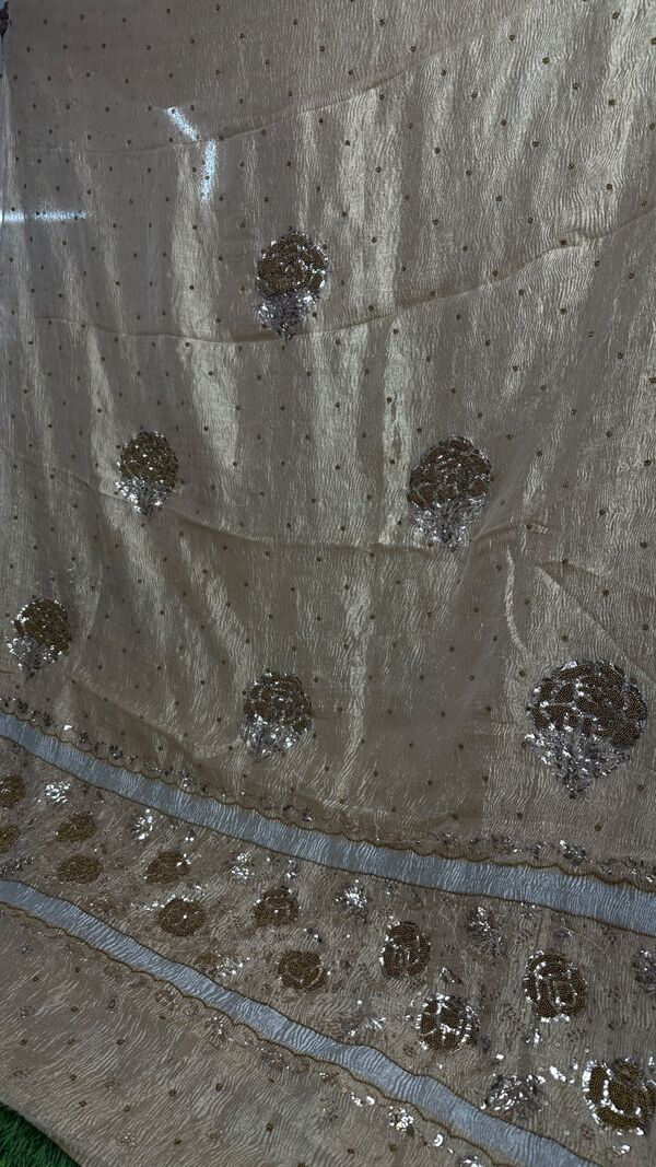 NJ-Soft Crush Tissue Saree 